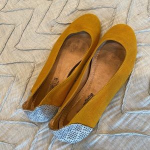 Mustard gang flats from root collective